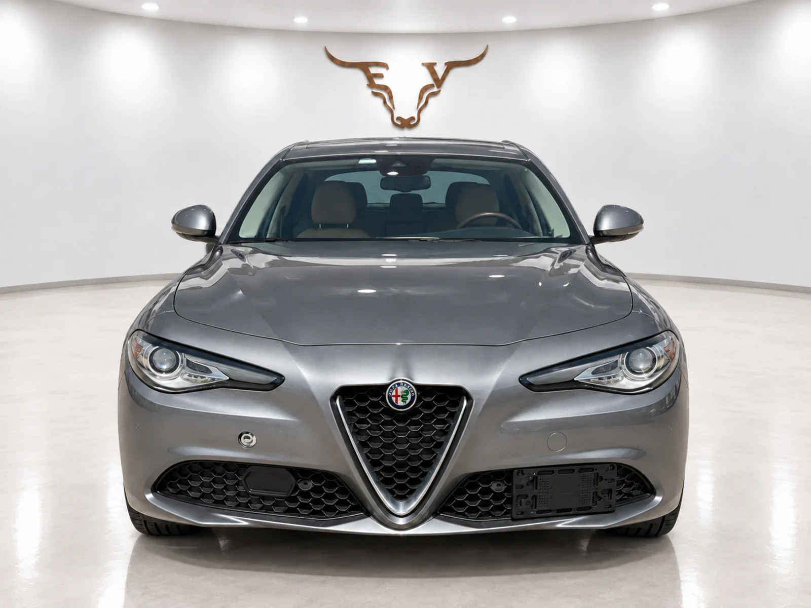 2017 Alfa Romeo Giulia photo 2