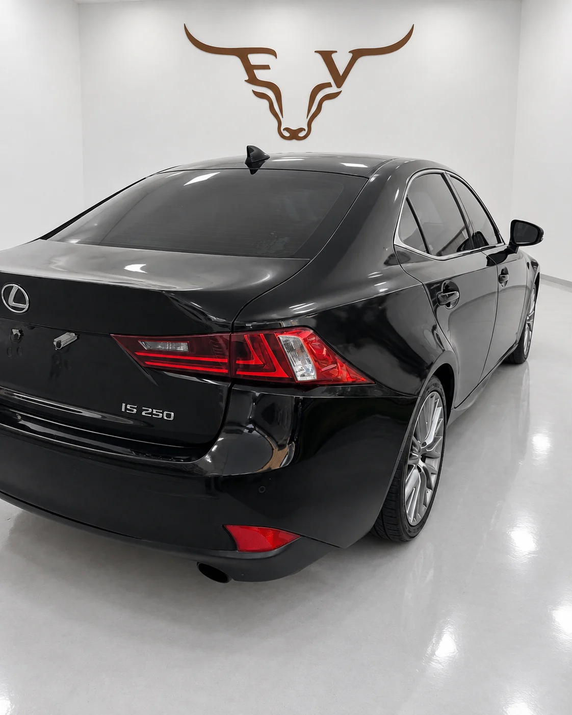 2014 Lexus IS 250 Luxury Package RWD photo 2