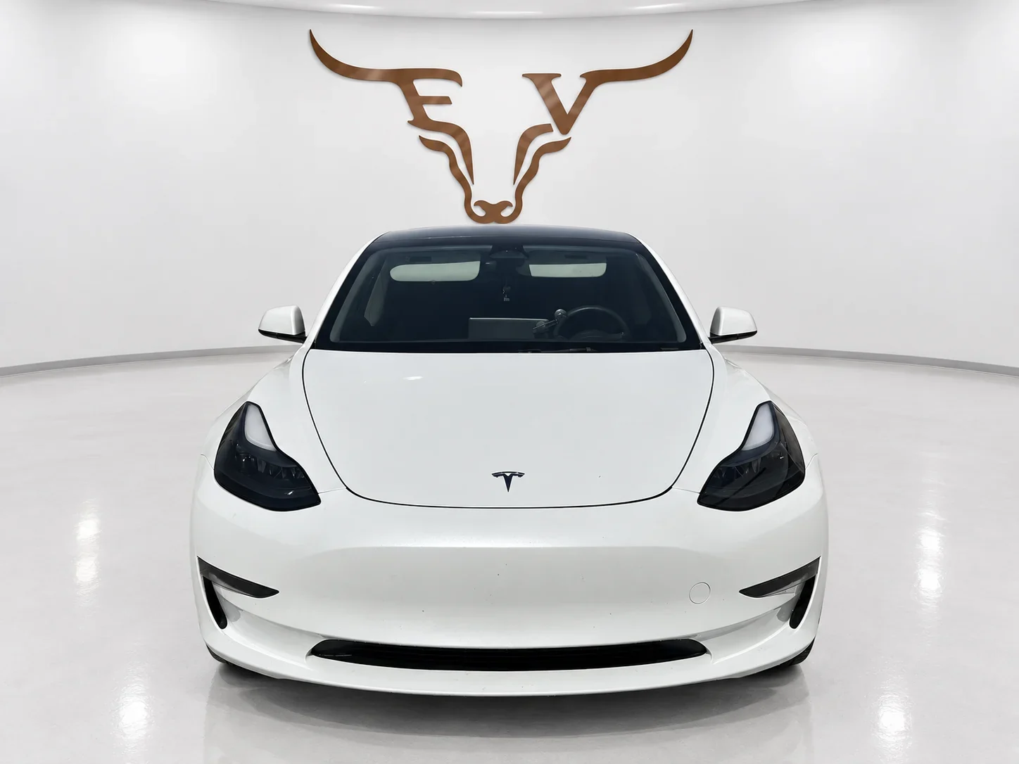 2023 Tesla Model 3 Standard Range photo 3