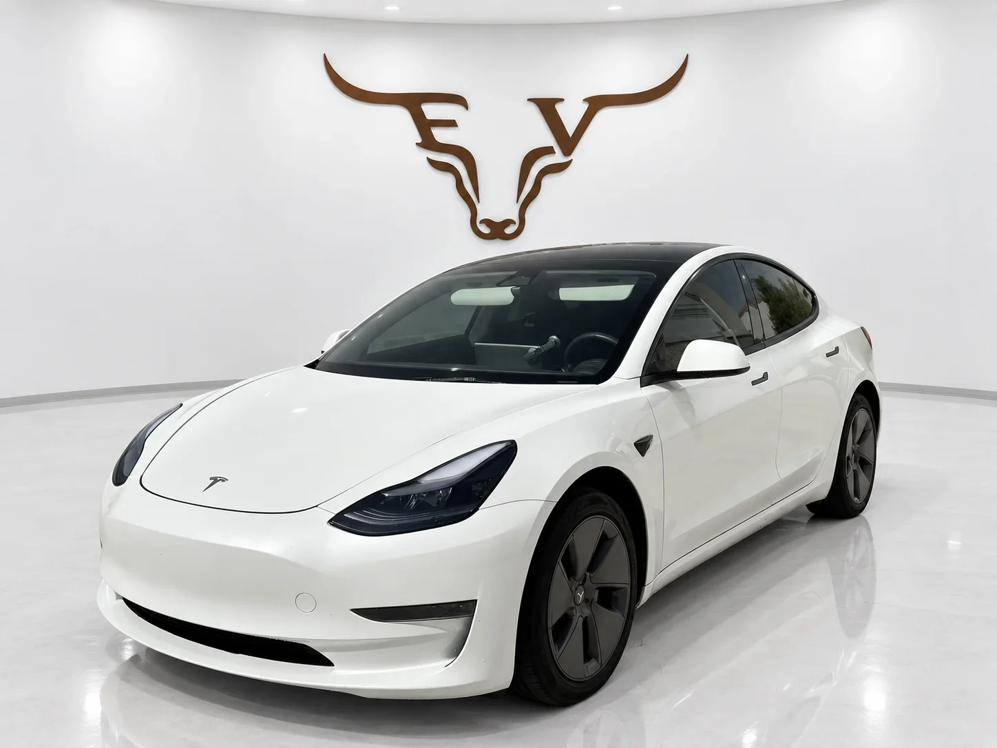 2023 Tesla Model 3 Standard Range photo 2