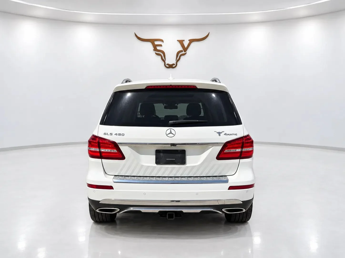 2019 Mercedes-Benz GLS 450 4MATIC Sport Utility photo 3