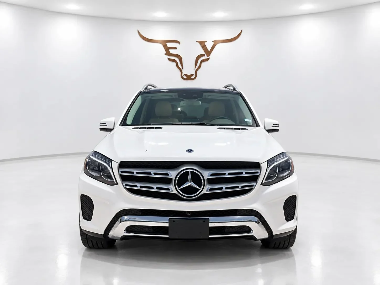 2019 Mercedes-Benz GLS 450 4MATIC Sport Utility photo 2