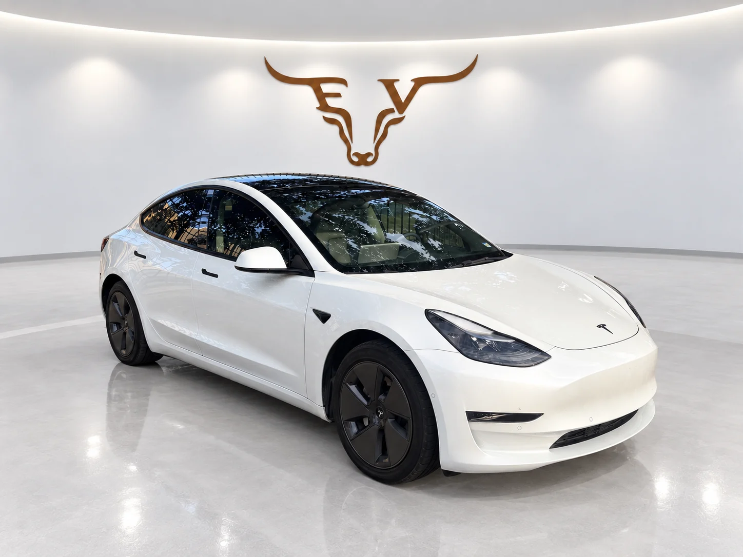 2022 Tesla Model 3 Standard Range RWD w/Enhanced Autopilot photo 6